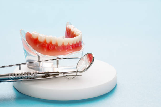 Best General Dentistry  in Maria Stein, OH